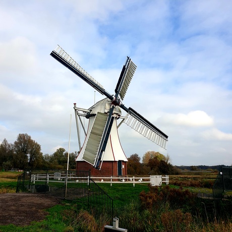 De witte Harener molen