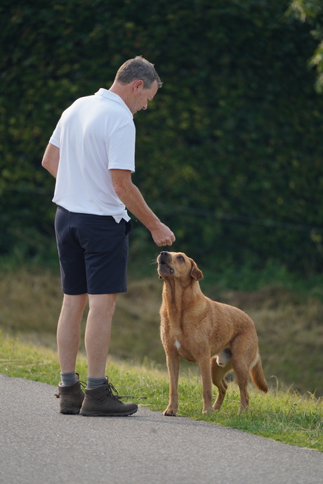 Dierenfoto's - sigma_e_mount test