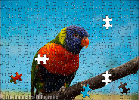 Lori Puzzel