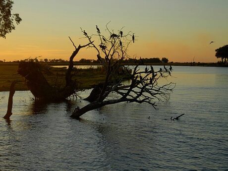 zonsondergang op de chobe rivier