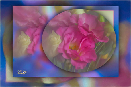 een bloemetje.......................