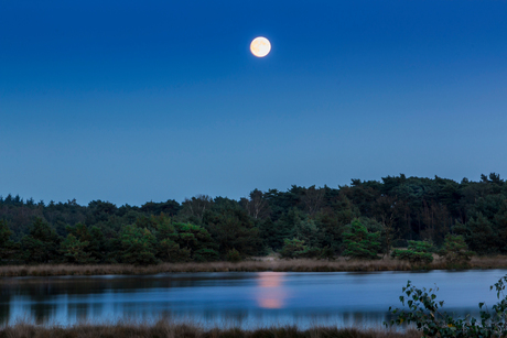 Avond in de Kampina