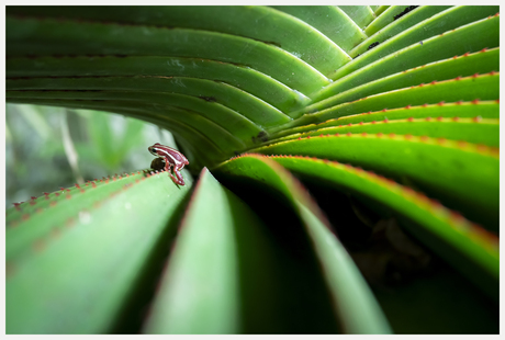 Het zijn de kleine dingen...