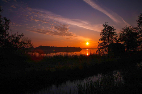 Serene rust | Morning Sun