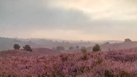 Mist op de Posbank