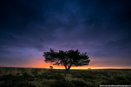 Dansen in de eerste zonnestralen