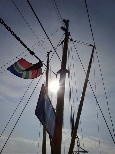 the sun is shining through…