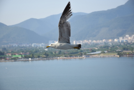 Izmir op de achtergrond