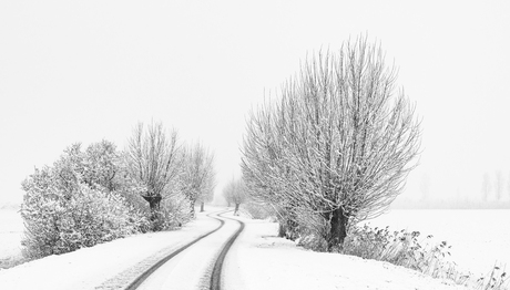 Sporen in de sneeuw