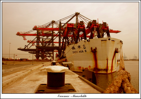 Zhen Hua 8