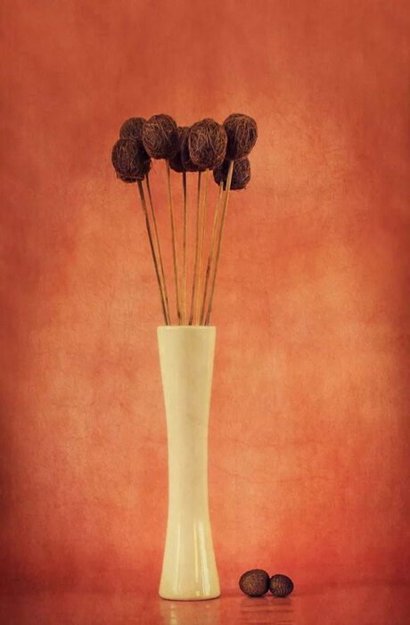 still life with lychee