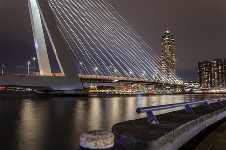 Erasmusbrug Rotterdam