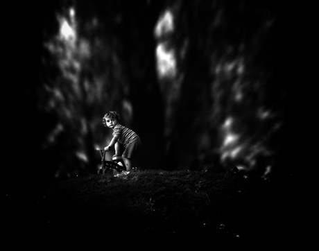 in het bos verdwaald