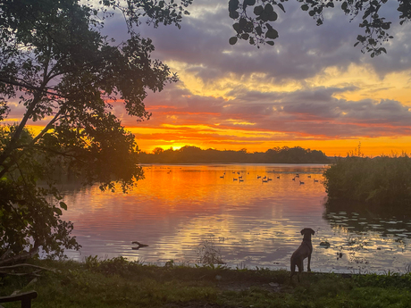 Zonsopkomst Ankeveense plassen