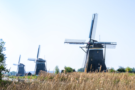 Molendriegang