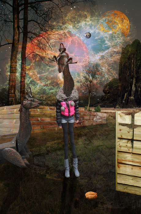 Ceratosaurus Queckarborum Domesticus