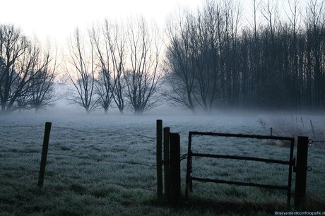 Mist in de wei...