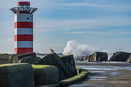 Noordpier