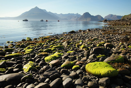 elgol