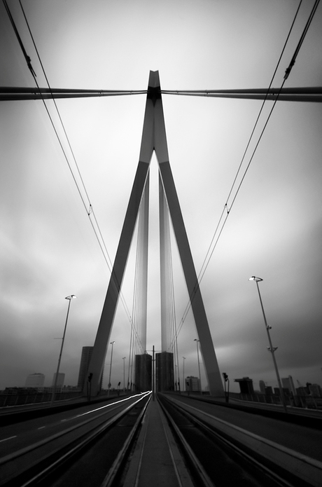 Erasmusbrug Rotterdam