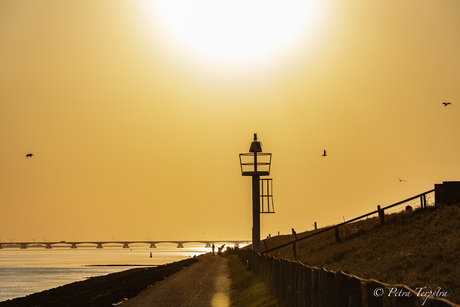 OOSTERSCHELDE BRUG