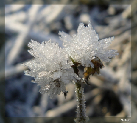 Het is winter