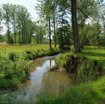 Langs de Gulp - Ergens tijdens een zomerse wandeling langs het riviertje de Gulp in Zuid Limburg.
Deze foto is samengesteld uit 3 verticaal genomen opnames. - foto door RobCramer op 25-02-2012 - deze foto bevat: water, natuur, landschap, rivier, riviertje, gulp, zuid-limburg