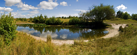 vijvertje in de duinen