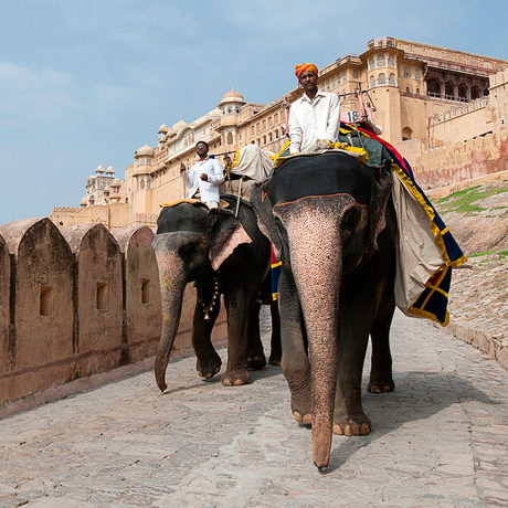 Amber Fort India