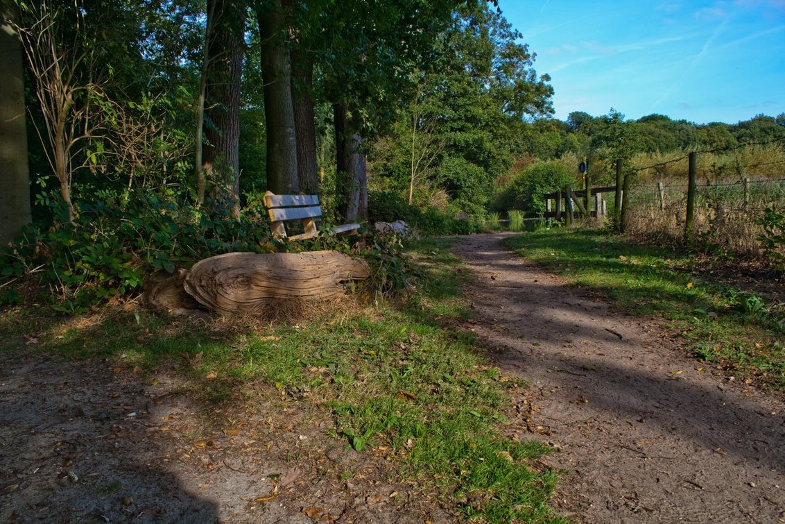 A Bench with a view - - - foto door liesbethkh op 28-01-2010 - deze foto bevat: Bank Landschap Amelisweerd
