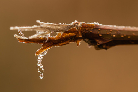 Wintertijd