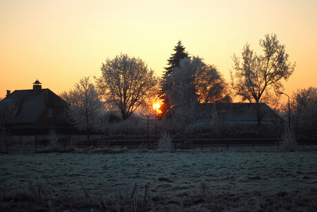 Morning in white satin