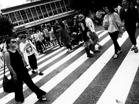 Shibuya Crossing