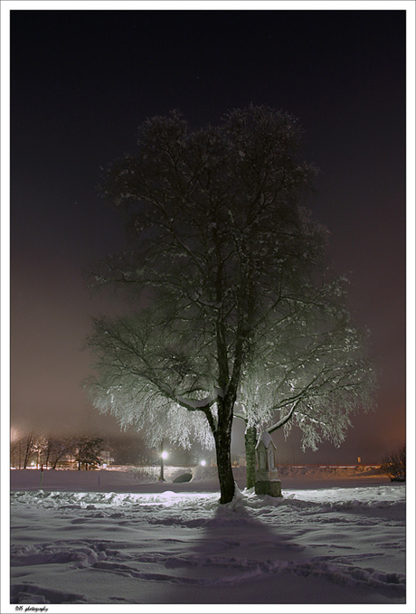 Lighted tree