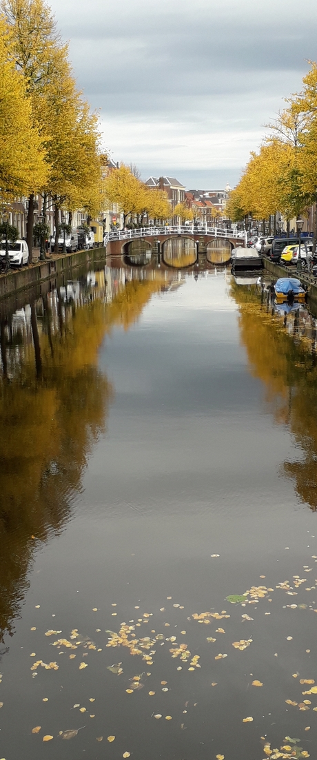 Herfst Leiden