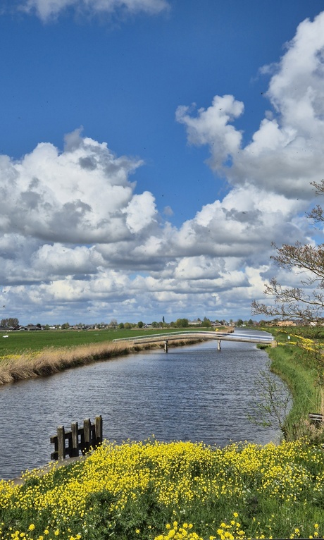 File rijden kan ook mooi zijn