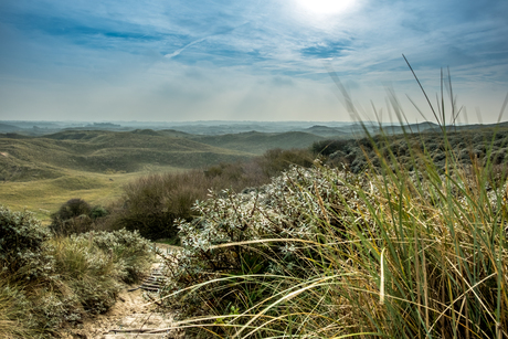 Duinen