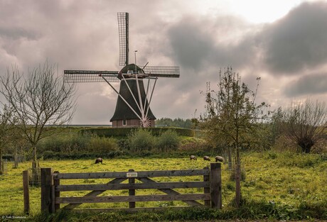 Naamloze molen