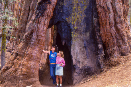 Sequoia National Park