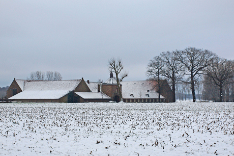 jongenhof in de sneeuw