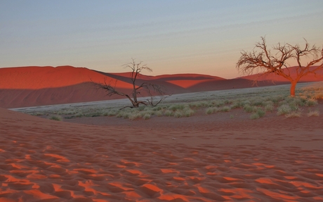 Duin 45 (Sesriem Canyon- Namib Desert)