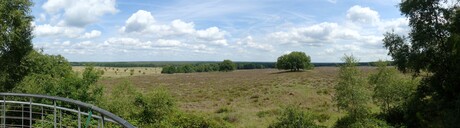 P1290402 SNEL Pano Uitz toren Valenberg nabij Ginkelse heide 3 aug 2025