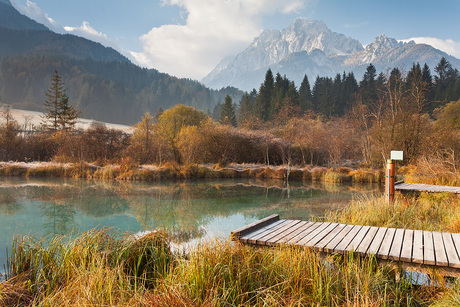 Zelenci pools