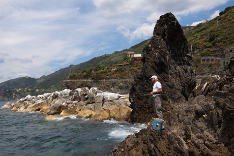 Visser in Manarola