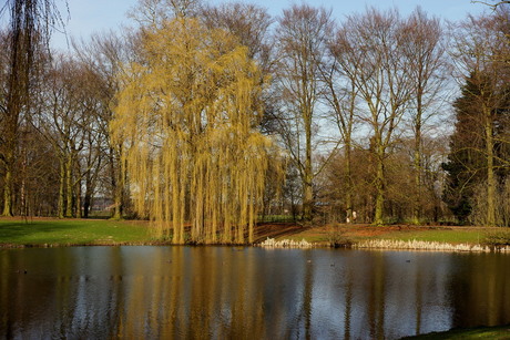 Lente in aantocht