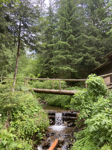 Stoomtreinreis door de bergen