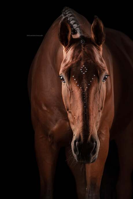 studio fotografie