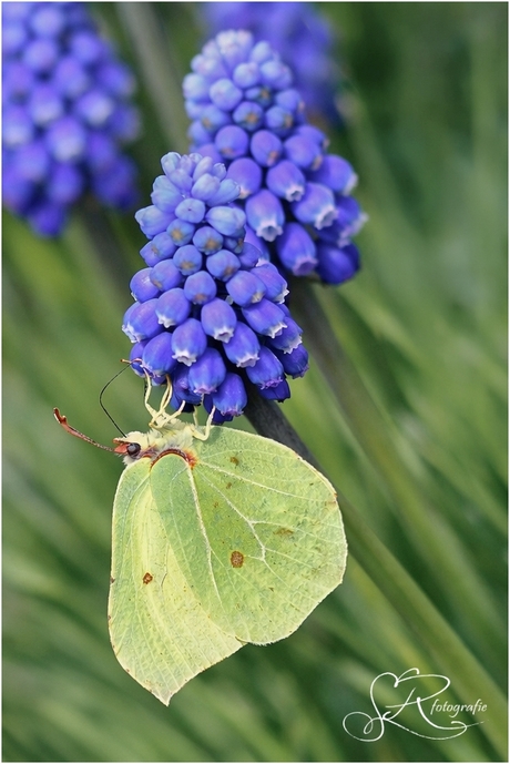 Voorjaarsontmoeting in het klein