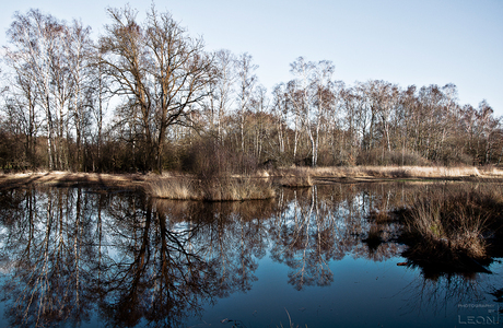 weerspiegeling