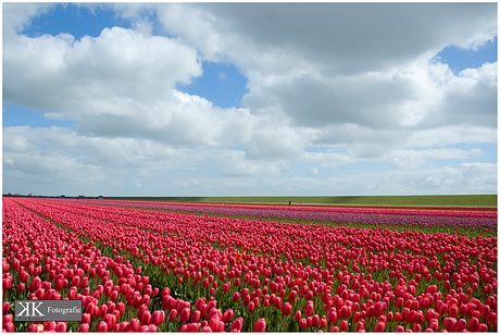 Lente op Texel